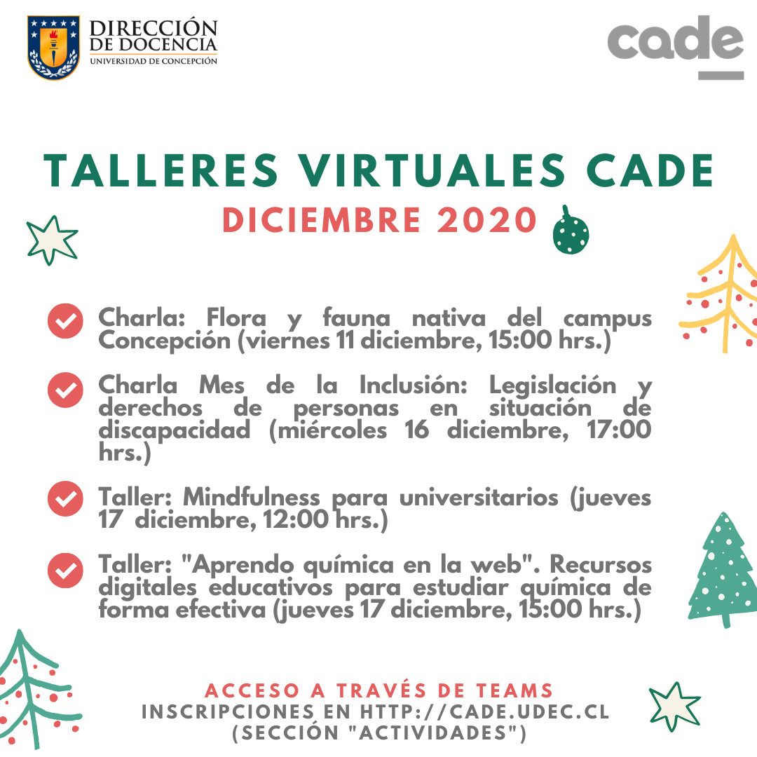 Talleres del mes de Diciembre