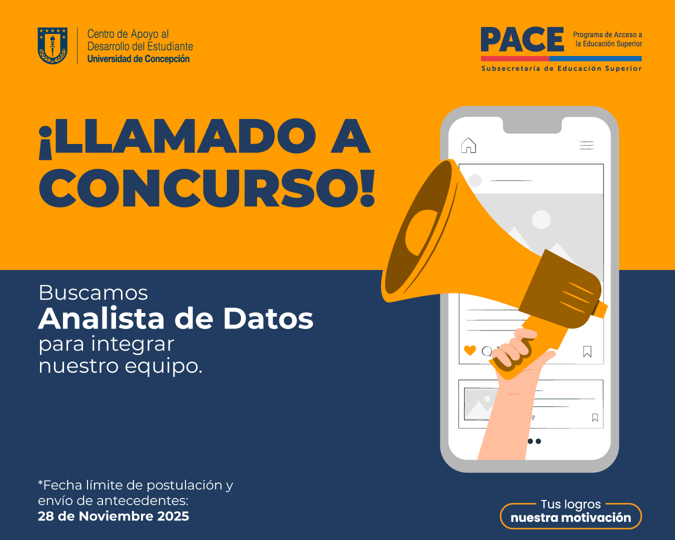 Llamado a concurso profesional: Buscamos Analista de datos para nuestro equipo CADE-PACE UdeC